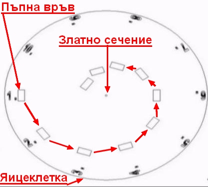 Закон за физическото възпроизводство